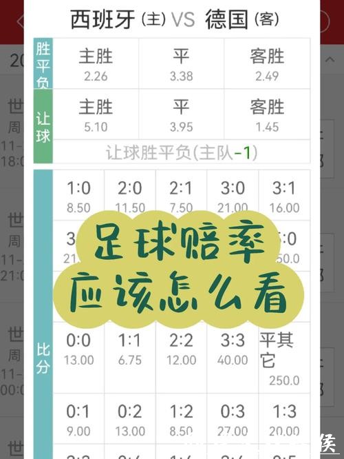 世界杯投注赔率解析与选择建议 世界杯投注赔率解析与选择建议